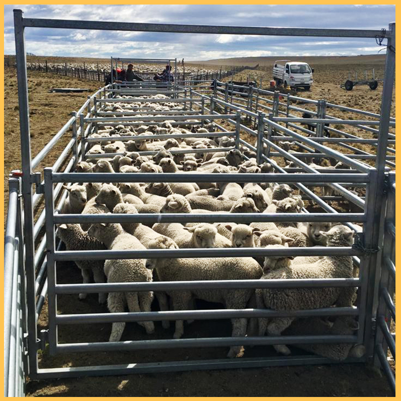 Sheep Fence Panel