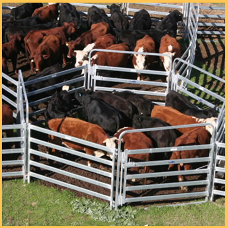 Horse Fence Panel